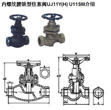 UJ11Y(H) U11SM(ni)ݼyy-ɽyT(mn)죨Ϻ޹˾
